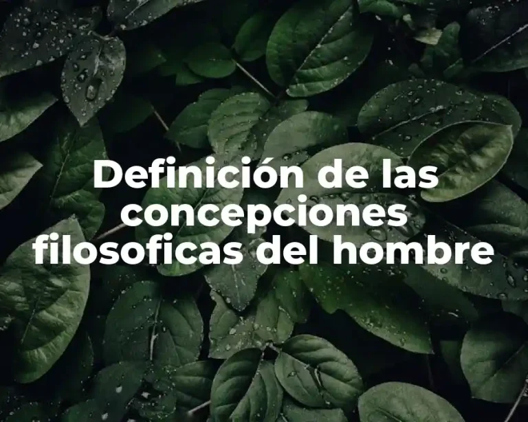 Definición de las concepciones filosoficas del hombre