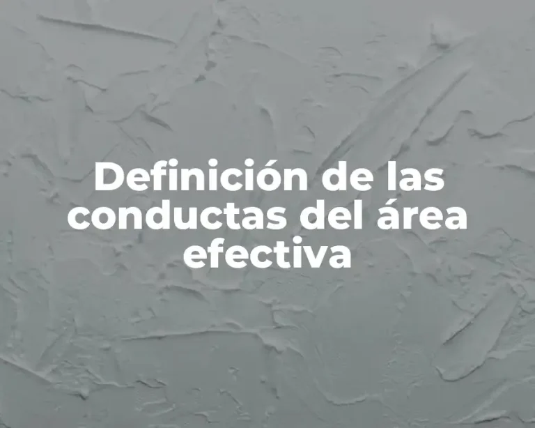 Definición de las conductas del área efectiva