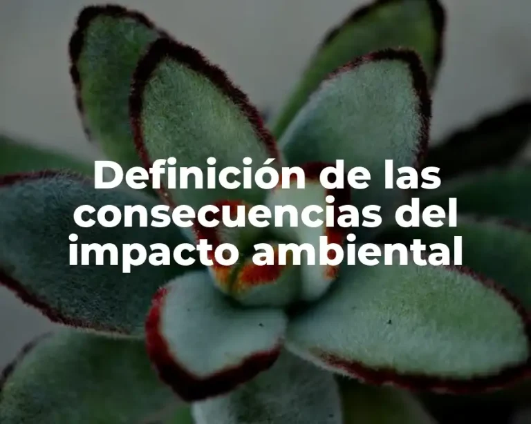 Definición de las consecuencias del impacto ambiental