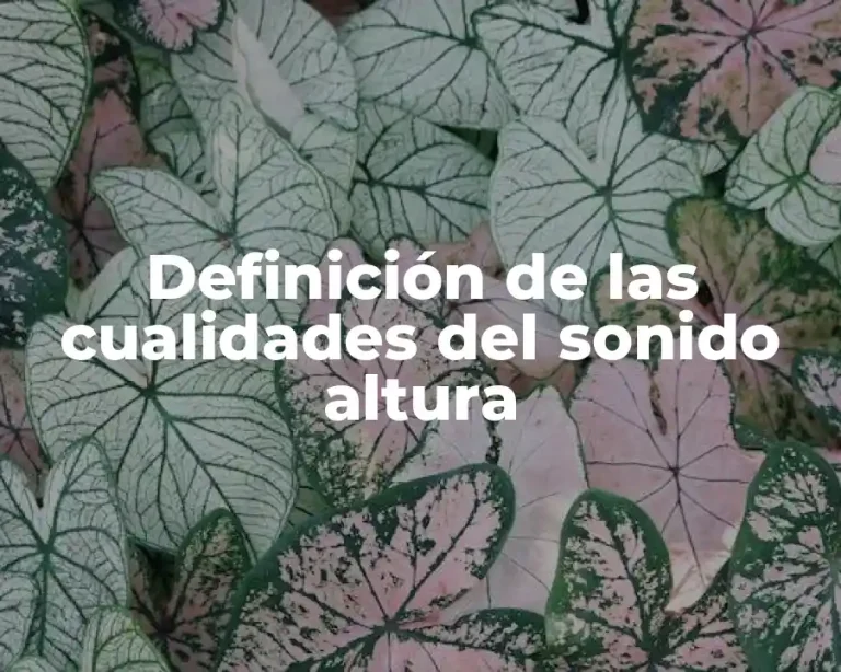 Definición de las cualidades del sonido altura