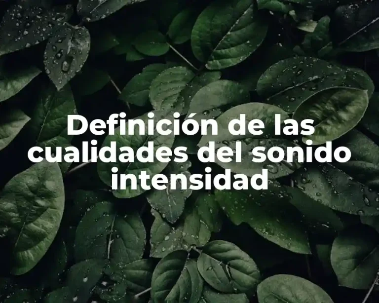 Definición de las cualidades del sonido intensidad