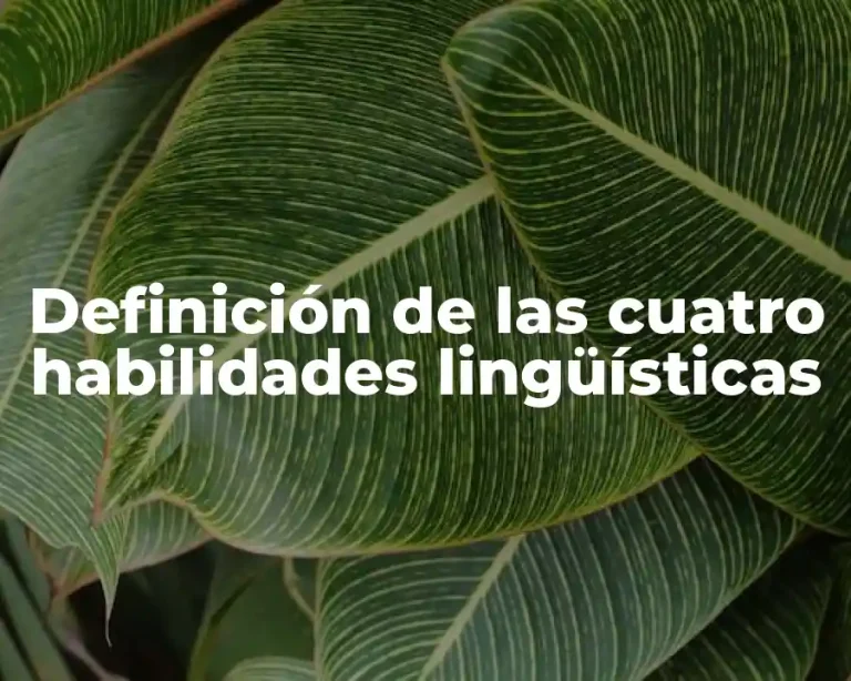 Definición de las cuatro habilidades lingüísticas