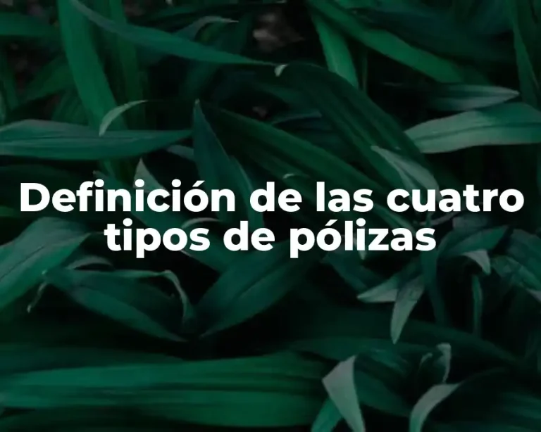 Definición de las cuatro tipos de pólizas
