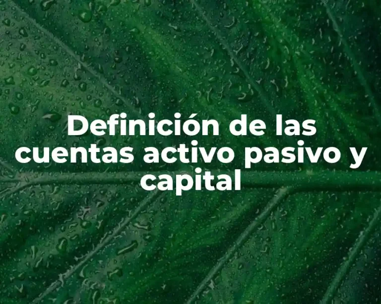 Definición de las cuentas activo pasivo y capital