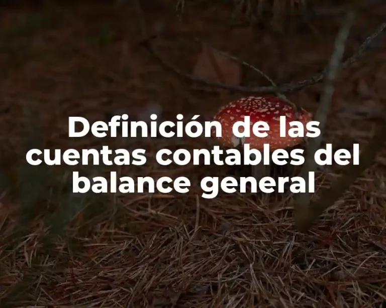 Definición de las cuentas contables del balance general