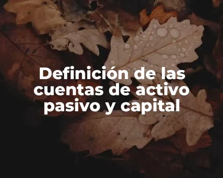 Definición de las cuentas de activo pasivo y capital