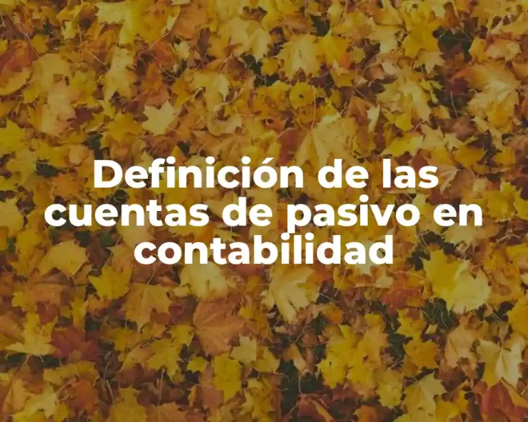 Definición de las cuentas de pasivo en contabilidad