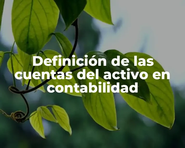 Definición de las cuentas del activo en contabilidad