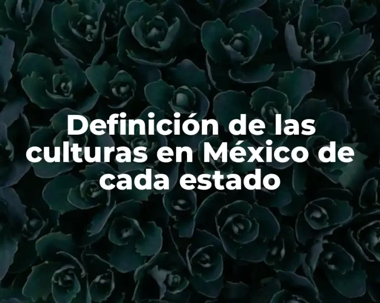 Definición de las culturas en México de cada estado