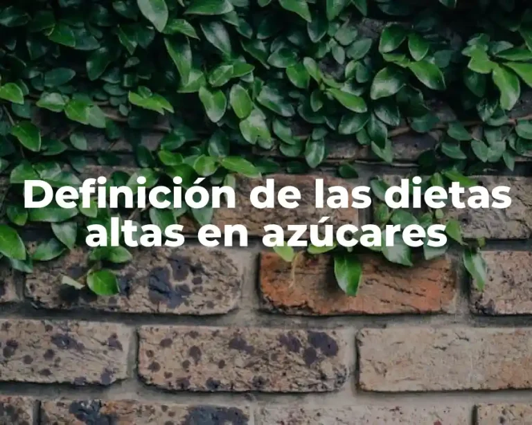 Definición de las dietas altas en azúcares