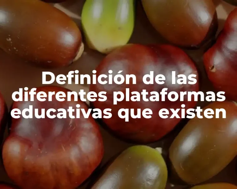 Definición de las diferentes plataformas educativas que existen