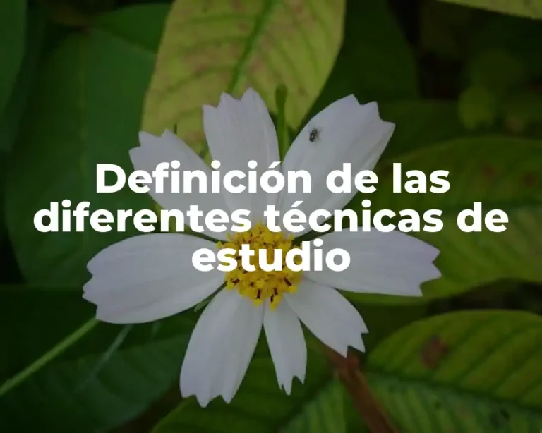 Definición de las diferentes técnicas de estudio