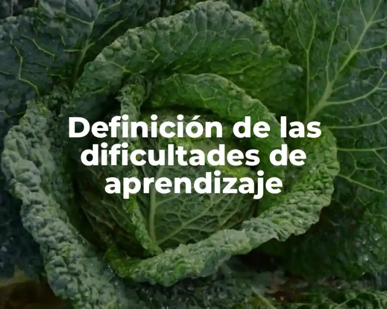 Definición de las dificultades de aprendizaje