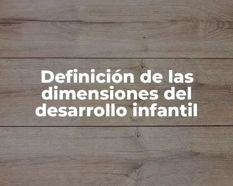 Definición de las dimensiones del desarrollo infantil