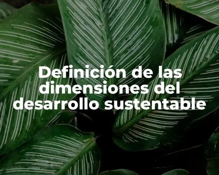 Definición de las dimensiones del desarrollo sustentable