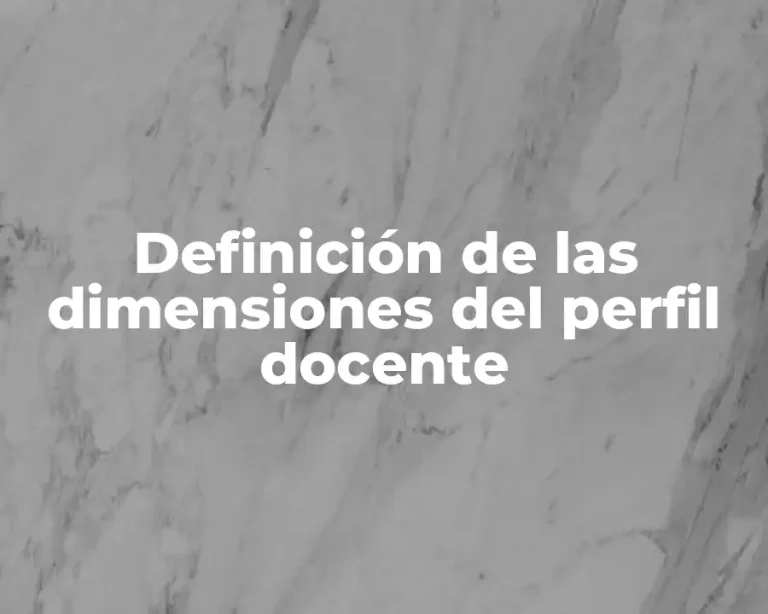 Definición de las dimensiones del perfil docente
