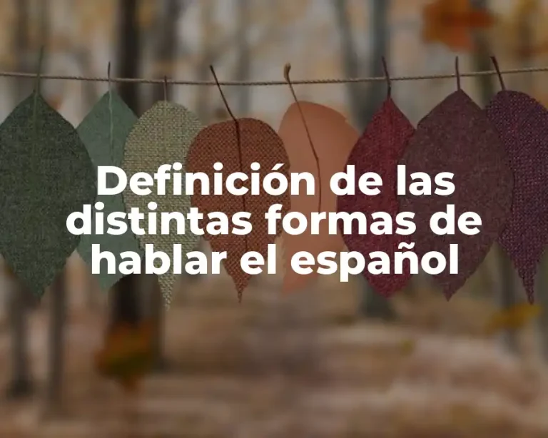 Definición de las distintas formas de hablar el español
