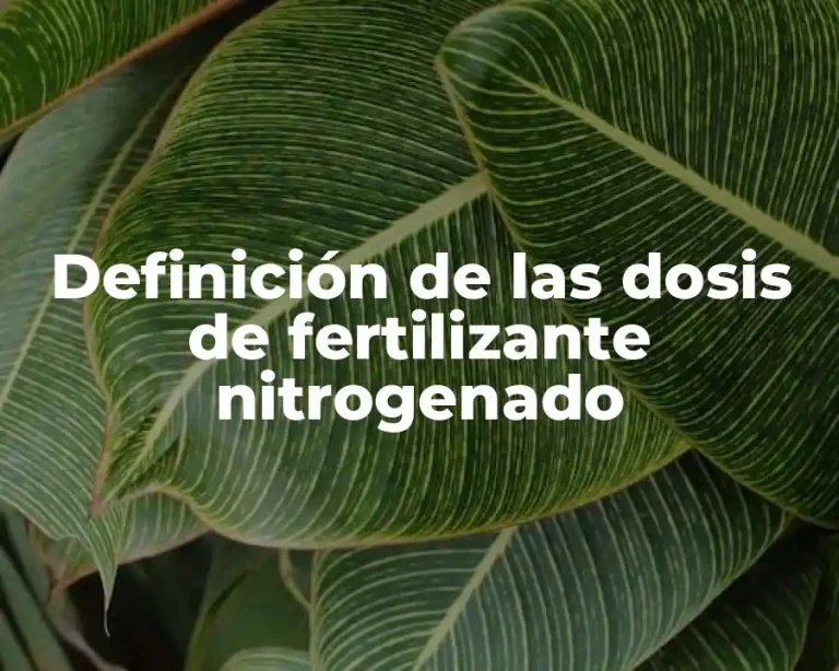 Definición de las dosis de fertilizante nitrogenado