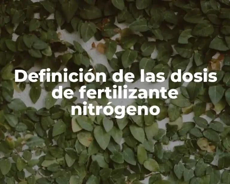 Definición de las dosis de fertilizante nitrógeno
