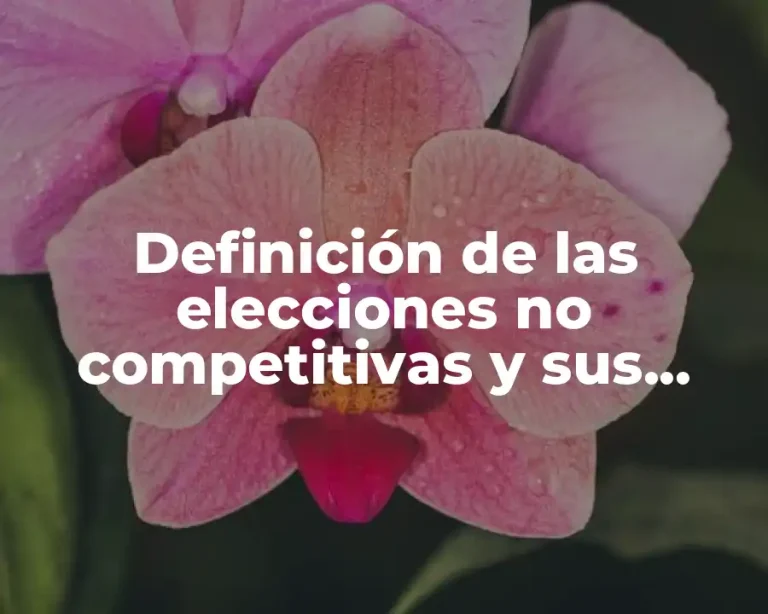 Definición de las elecciones no competitivas y sus funciones
