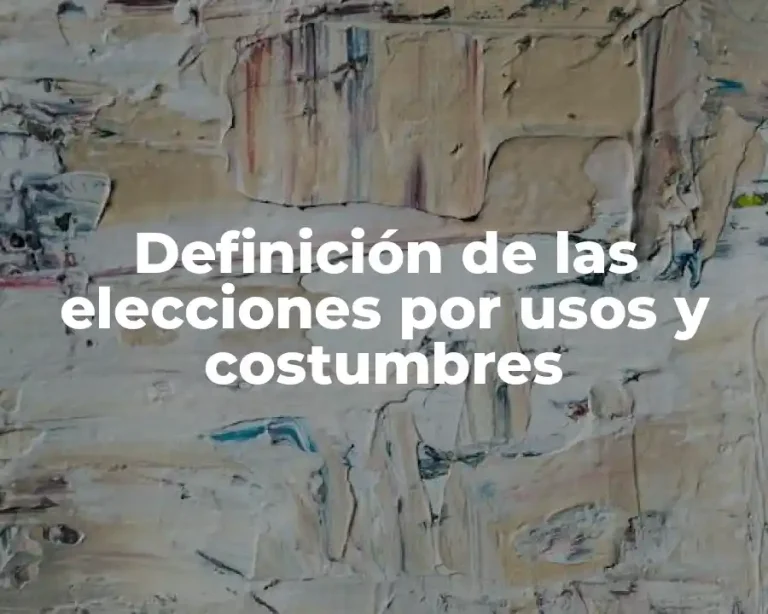 Definición de las elecciones por usos y costumbres