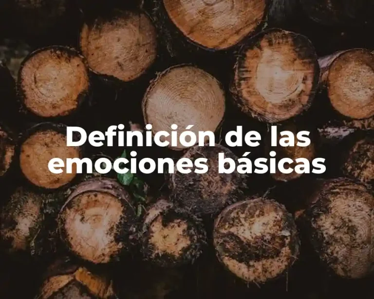 Definición de las emociones básicas