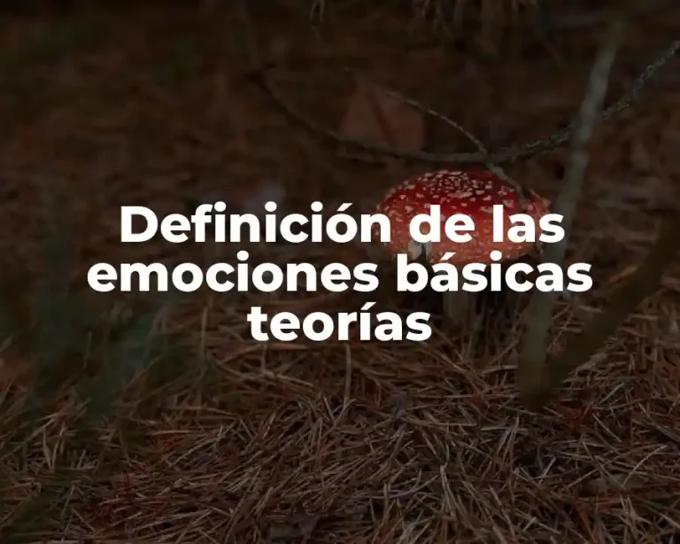 Definición de las emociones básicas teorías