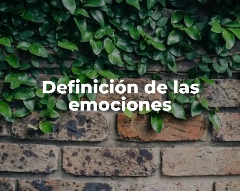 Definición de las emociones