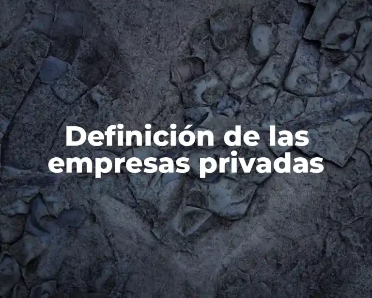 Definición de las empresas privadas