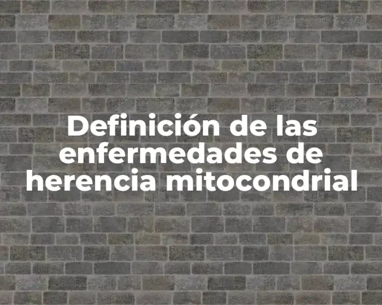 Definición de las enfermedades de herencia mitocondrial