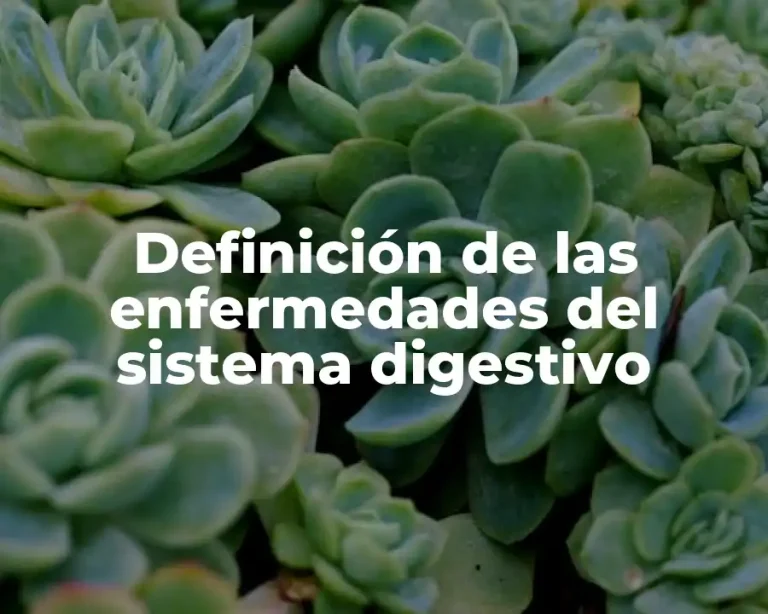 Definición de las enfermedades del sistema digestivo