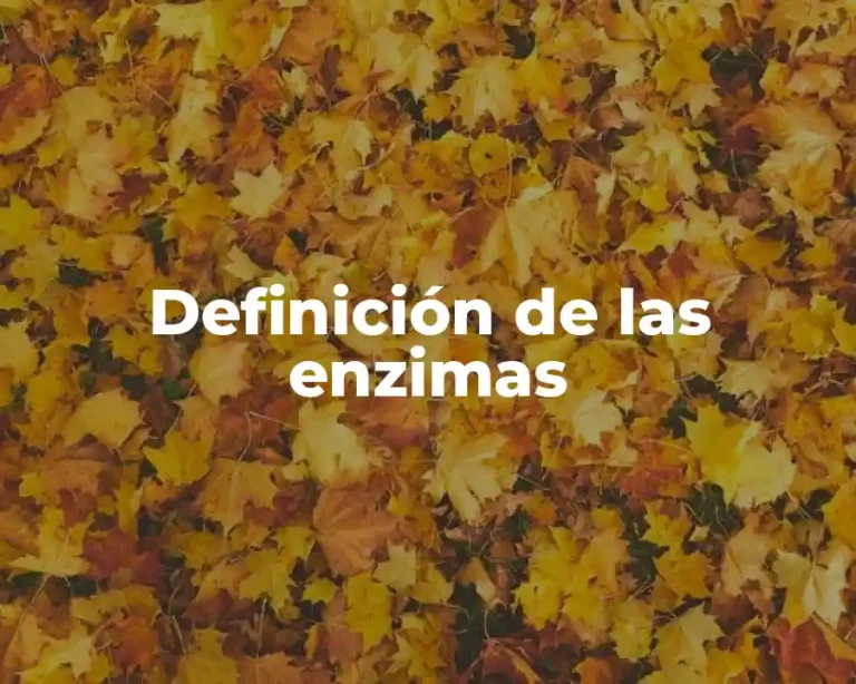 Definición de las enzimas