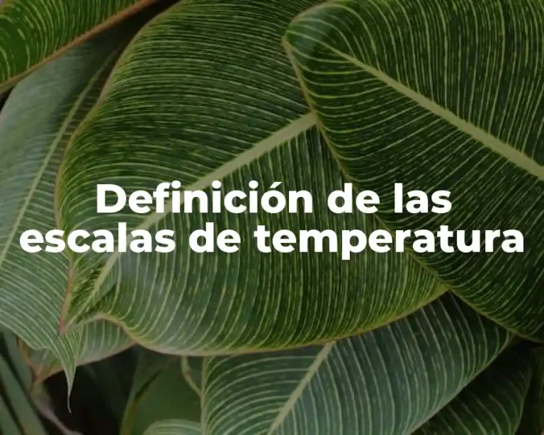 Definición de las escalas de temperatura
