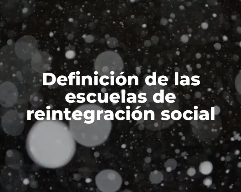 Definición de las escuelas de reintegración social