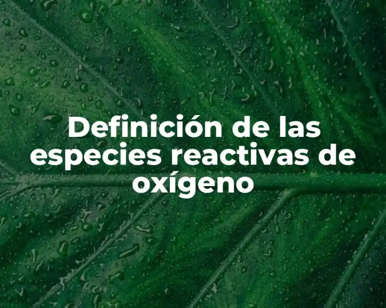 Definición de las especies reactivas de oxígeno