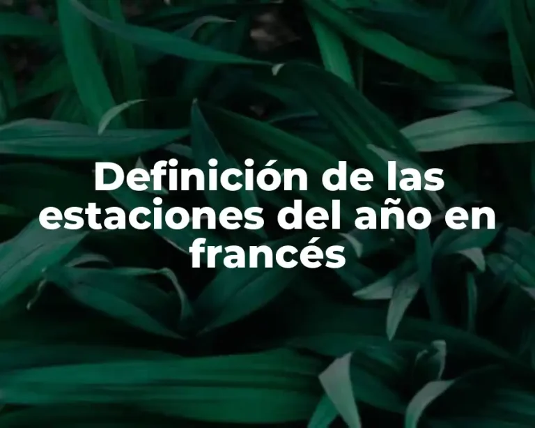 Definición de las estaciones del año en francés