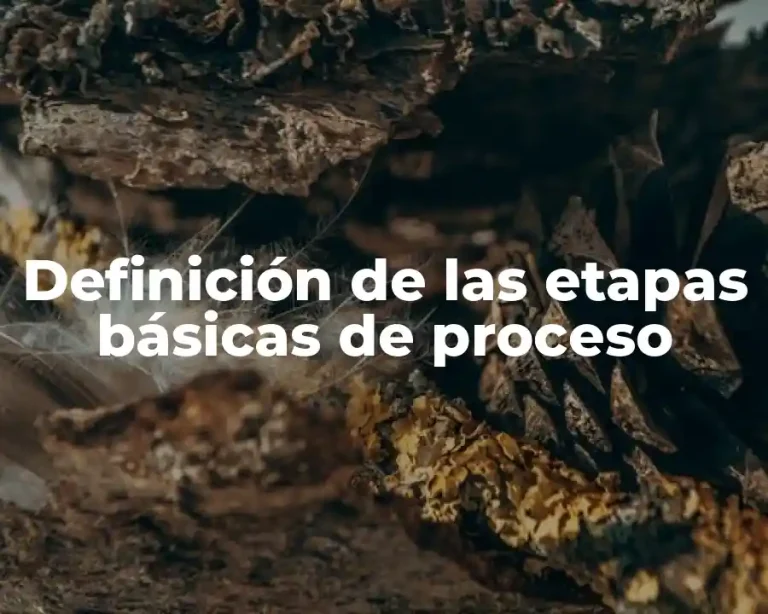 Definición de las etapas básicas de proceso