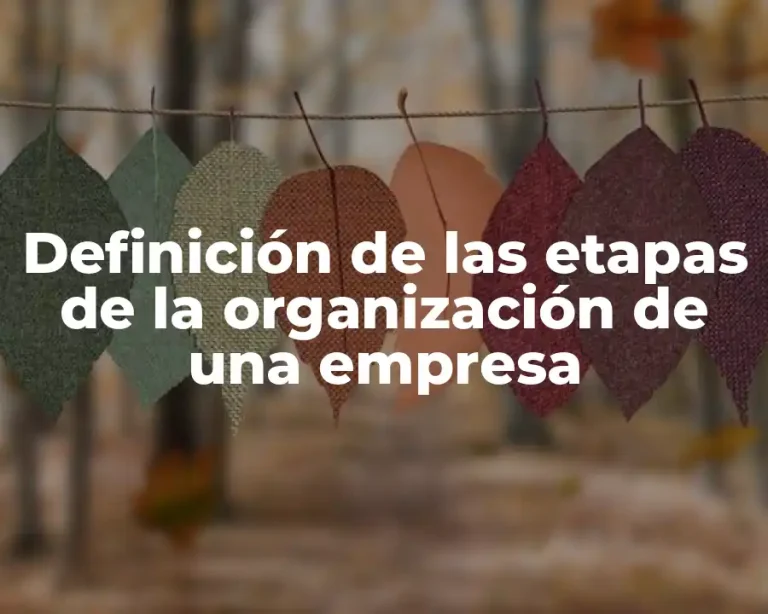 Definición de las etapas de la organización de una empresa