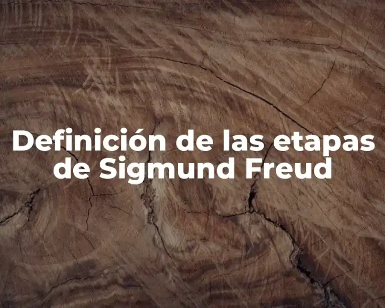 Definición de las etapas de Sigmund Freud
