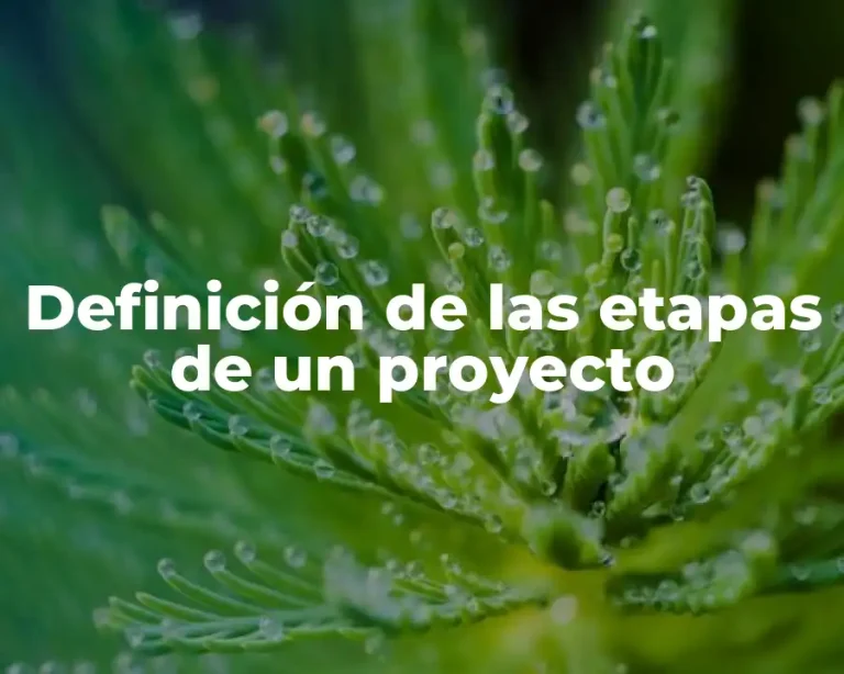 Definición de las etapas de un proyecto