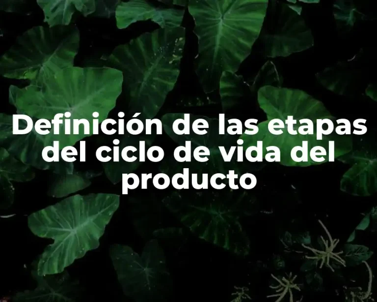 Definición de las etapas del ciclo de vida del producto