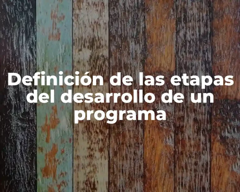 Definición de las etapas del desarrollo de un programa