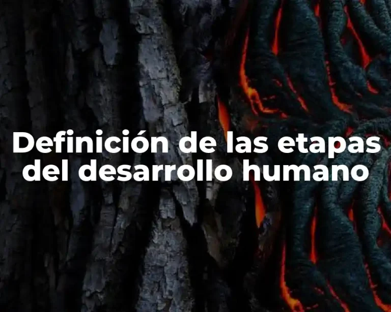 Definición de las etapas del desarrollo humano