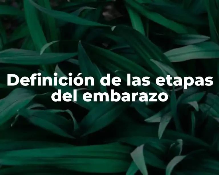 Definición de las etapas del embarazo