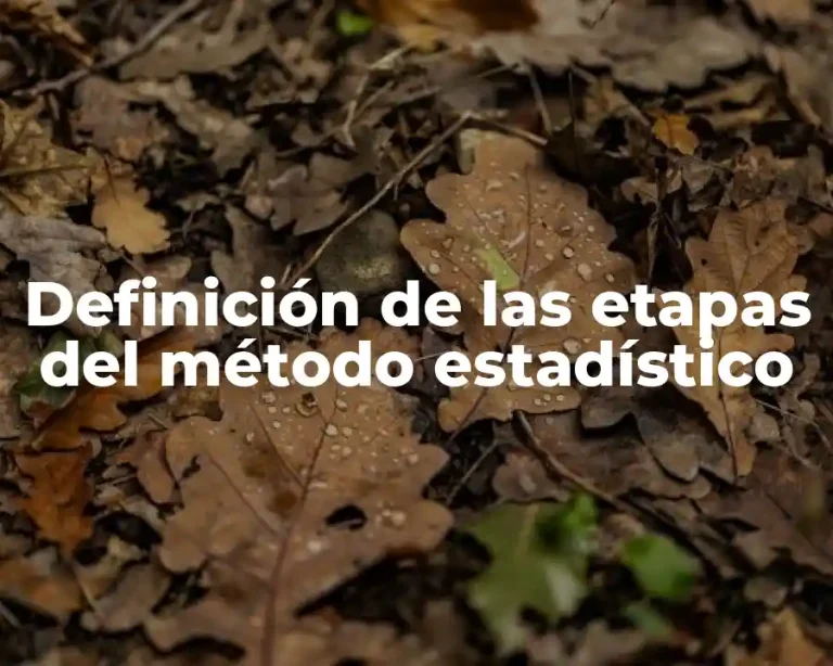 Definición de las etapas del método estadístico
