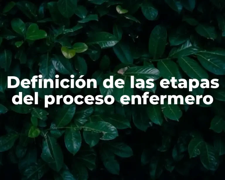 Definición de las etapas del proceso enfermero