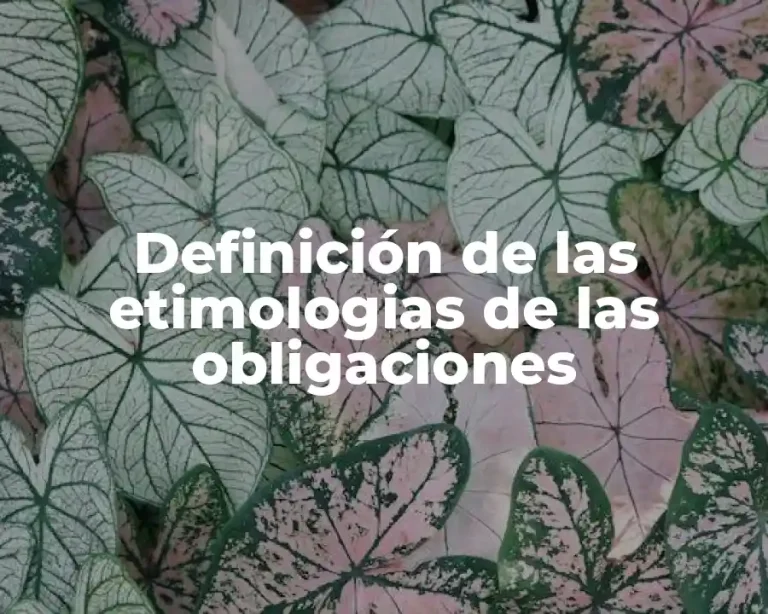 Definición de las etimologias de las obligaciones
