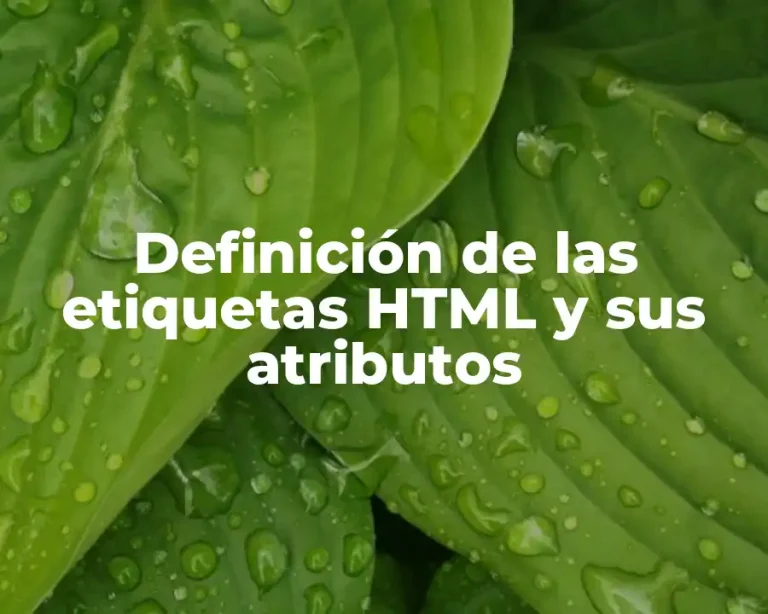 Definición de las etiquetas HTML y sus atributos