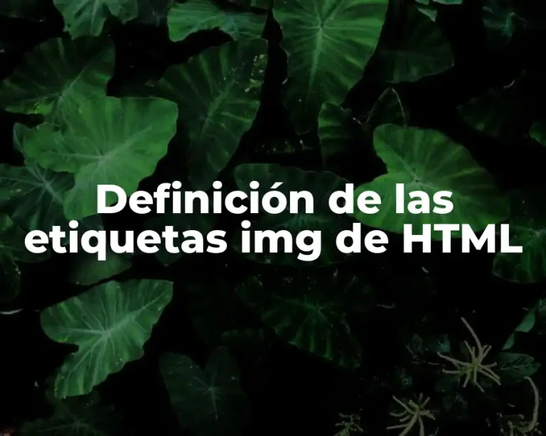 Definición de las etiquetas img de HTML