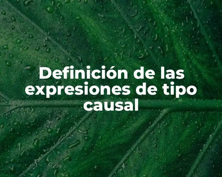 Definición de las expresiones de tipo causal